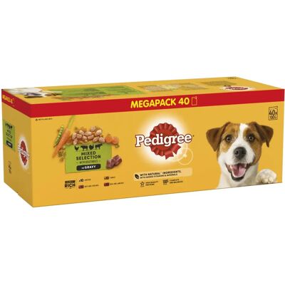 Pedigree 364342 Pedigree 364342