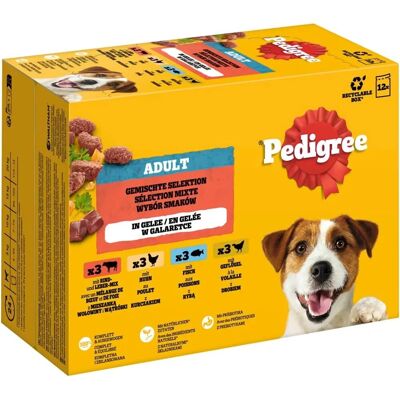 Multipack de Comida para Perros Pedigree - Selección Variada en Gelatina y Salsa - 12 x 100 g Multipack de Comida para Perros Pedigree - Selección Variada en Gelatina y Salsa - 12 x 100 g