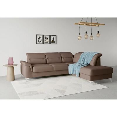 SIT & MORE Sinatra L-Form Sofa - L-Form, espresso, 251cm SIT & MORE Sinatra L-Form Sofa - L-Form, espresso, 251cm