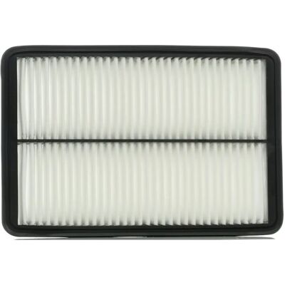 Denckermann A142098 - Filtro de aire para Hyundai y Kia SUV Denckermann A142098 - Filtro de aire para Hyundai y Kia SUV