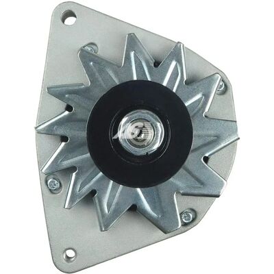 Alanko 10441684 10442066 10442289 Alternatore - Alternatore Alanko 10441684 10442066 10442289 Alternatore - Alternatore