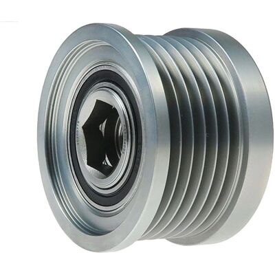 AS-PL AFP6048 OEM Lichtmaschinenriemenscheibe AS-PL AFP6048 OEM Lichtmaschinenriemenscheibe
