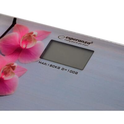 Bilancia personale Esperanza EBS010 - Orchidea - 180 kg - Bilancia da bagno Bilancia personale Esperanza EBS010 - Orchidea - 180 kg - Bilancia da bagno