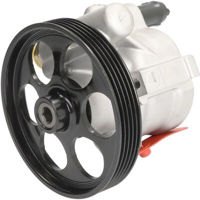 LAUBER 55.6001 Hydraulisk styrpump - 5 spår, 6 ribbor, ø 125mm LAUBER 55.6001 Hydraulisk styrpump - 5 spår, 6 ribbor, ø 125mm