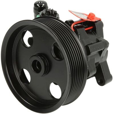 LAUBER 55.4304 Hydraulische Lenkhilfepumpe - Power Steering Pump LAUBER 55.4304 Hydraulische Lenkhilfepumpe - Power Steering Pump