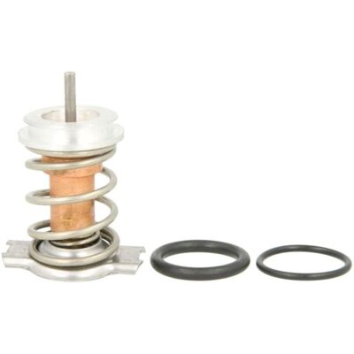 Thermotec D28001TT Termostat - Komplett med tätning Thermotec D28001TT Termostat - Komplett med tätning