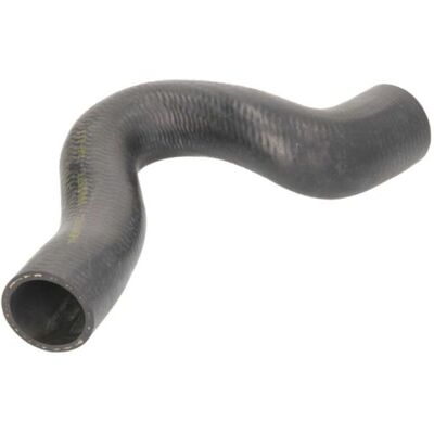 THERMOTEC DWW025TT - Tubo del radiatore - Flessibile, Gomma, Posizione inferiore THERMOTEC DWW025TT - Tubo del radiatore - Flessibile, Gomma, Posizione inferiore