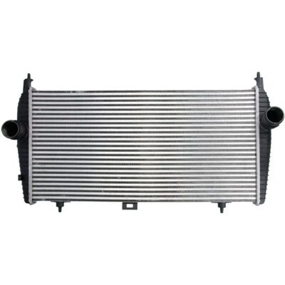 THERMOTEC DAC010TT Intercooler - Korkealaatuinen jäähdyttimen ydin THERMOTEC DAC010TT Intercooler - Korkealaatuinen jäähdyttimen ydin