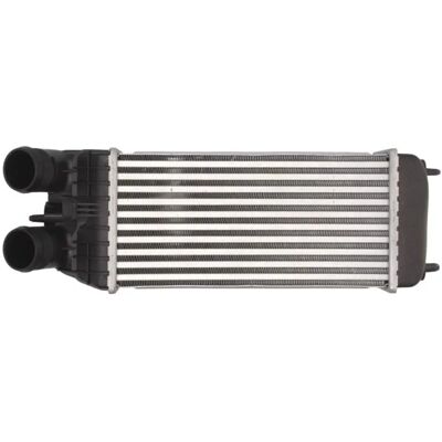 THERMOTEC DAP003TT Intercooler - Luft/Wasser-Kühler für Fahrzeuge mit/ohne Klimaanlage THERMOTEC DAP003TT Intercooler - Luft/Wasser-Kühler für Fahrzeuge mit/ohne Klimaanlage