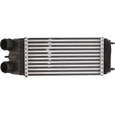 THERMOTEC DAC003TT Intercooler - Luft-Luft, Luft-Vatten, Peugeot 207 THERMOTEC DAC003TT Intercooler - Luft-Luft, Luft-Vatten, Peugeot 207