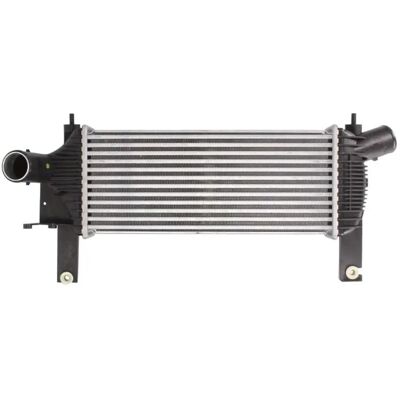 THERMOTEC DA1001TT Intercooler - Jäähdyttimen verkkosuojus THERMOTEC DA1001TT Intercooler - Jäähdyttimen verkkosuojus
