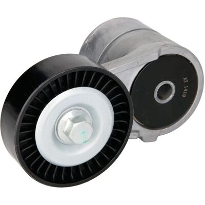 BTA E3W0038BTA Tendeur de courroie en V - V-belt tensioner BTA E3W0038BTA Tendeur de courroie en V - V-belt tensioner