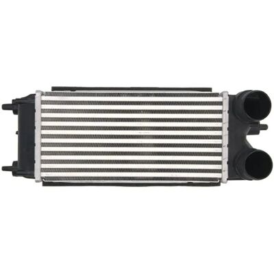 THERMOTEC DAG018TT Intercooler - Luft-Luft, Wasser-Luft, Ford: Fiesta 6, B-Max, Transit Courier THERMOTEC DAG018TT Intercooler - Luft-Luft, Wasser-Luft, Ford: Fiesta 6, B-Max, Transit Courier