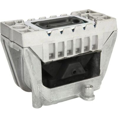 REINHOCH RH11-0068 Motorhalter Rechts - Unterstützung für Volkswagen Passat B6 REINHOCH RH11-0068 Motorhalter Rechts - Unterstützung für Volkswagen Passat B6