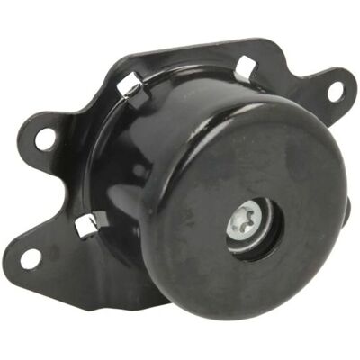 REINHOCH RH11-5035 Suporte de motor esquerdo - Suporte hidráulico - Silent bloc REINHOCH RH11-5035 Suporte de motor esquerdo - Suporte hidráulico - Silent bloc