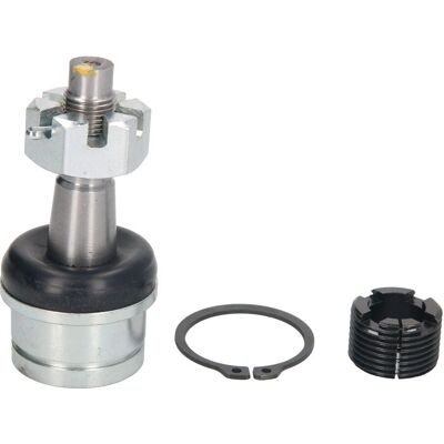 REINHOCH RH03-6004 Articulation de suspension - Support, Inférieure, Axe avant REINHOCH RH03-6004 Articulation de suspension - Support, Inférieure, Axe avant