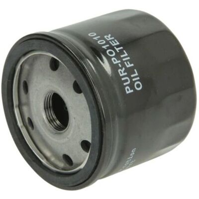 PURRO PUR-PO1010 Oil Filter - Thread M20x1.5 PURRO PUR-PO1010 Oil Filter - Thread M20x1.5