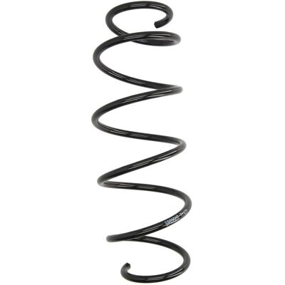 Magnum Technology SP095MT Feder für die Vorderachse Magnum Technology SP095MT Feder für die Vorderachse