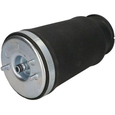 BMW MZB010MT Hintere linke Luftfederung - Feder BMW MZB010MT Hintere linke Luftfederung - Feder