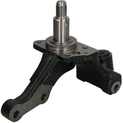 REINHOCH RH08-7002 Element zawieszenia - Prawy tył REINHOCH RH08-7002 Element zawieszenia - Prawy tył