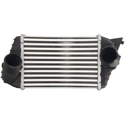 THERMOTEC DAF009TT Intercooler - Luft-Luft, Vatten-Luft - Stilo 3/5 dörrar, Multi Wagon THERMOTEC DAF009TT Intercooler - Luft-Luft, Vatten-Luft - Stilo 3/5 dörrar, Multi Wagon