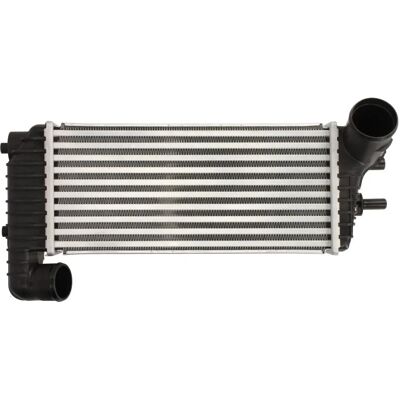 Intercooler THERMOTEC DAG025TT - Aria/aria Acqua/acqua - Modelli Ford Intercooler THERMOTEC DAG025TT - Aria/aria Acqua/acqua - Modelli Ford