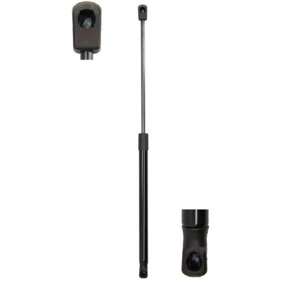 Magnum Technology Gas Strut - 512mm, 18mm Cylinder, 8mm Piston - Car Boot Magnum Technology Gas Strut - 512mm, 18mm Cylinder, 8mm Piston - Car Boot