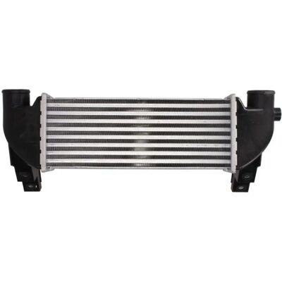 THERMOTEC DAG031TT Intercooler - Ilma-Ilma, Vesi-Ilma, Ford Transit Connect Mk1 THERMOTEC DAG031TT Intercooler - Ilma-Ilma, Vesi-Ilma, Ford Transit Connect Mk1