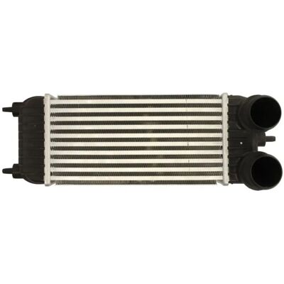 THERMOTEC DAC023TT Enfriador de aire de sobrealimentación - 150x300x80mm THERMOTEC DAC023TT Enfriador de aire de sobrealimentación - 150x300x80mm