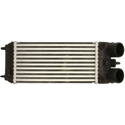 Intercooler THERMOTEC DAP007TT - Aluminium, 150mm, 300mm, 76mm Intercooler THERMOTEC DAP007TT - Aluminium, 150mm, 300mm, 76mm