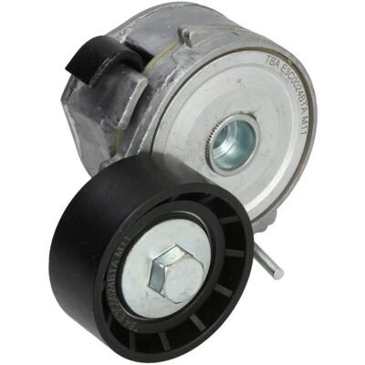 BTA E3C0024BTA Tensionator Curea - Belt Tensioner BTA E3C0024BTA Tensionator Curea - Belt Tensioner