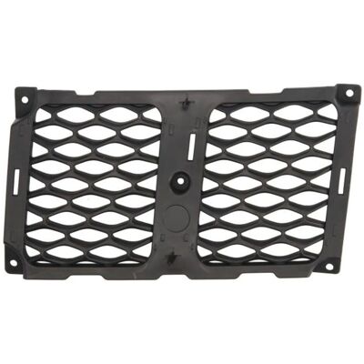 Blic 6502-07-3207993P Griglia del radiatore - Radiator grille Blic 6502-07-3207993P Griglia del radiatore - Radiator grille