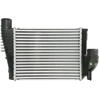 THERMOTEC DAX042TT Intercooler - Korkealaatuinen Peugeot, Citroën, Opel, Toyota varten THERMOTEC DAX042TT Intercooler - Korkealaatuinen Peugeot, Citroën, Opel, Toyota varten
