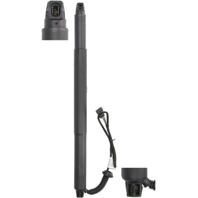 MAGNUM TECHNOLOGY MGS3128MT Vérin à gaz - Support de charge MAGNUM TECHNOLOGY MGS3128MT Vérin à gaz - Support de charge