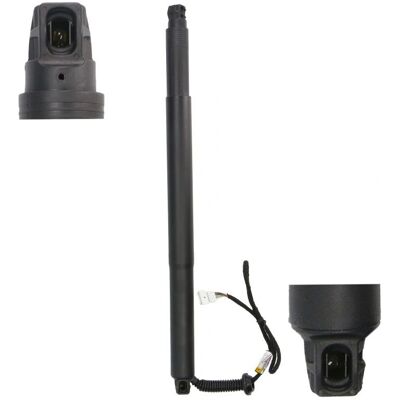MAGNUM TECHNOLOGY MGS3129MT Amortisseur à gaz avec étagère amovible - Accessoires de coffre MAGNUM TECHNOLOGY MGS3129MT Amortisseur à gaz avec étagère amovible - Accessoires de coffre