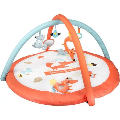 Canpol babies Modell - Bildender Spielteppich für Babys Canpol babies Modell - Bildender Spielteppich für Babys