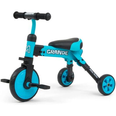 Milly Mally Blau 2in1 Kinders Balance Bike/Triwheel - Kids Balance Bike/Triwheel Milly Mally Blau 2in1 Kinders Balance Bike/Triwheel - Kids Balance Bike/Triwheel