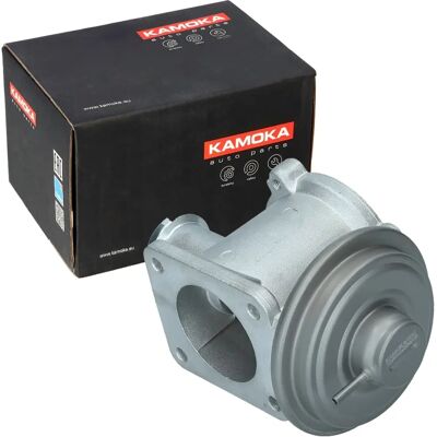 BMW Model 19062 - EGR-klep, Compatibel met 1, 3, 5, 7 Serie, X3, X5 BMW Model 19062 - EGR-klep, Compatibel met 1, 3, 5, 7 Serie, X3, X5