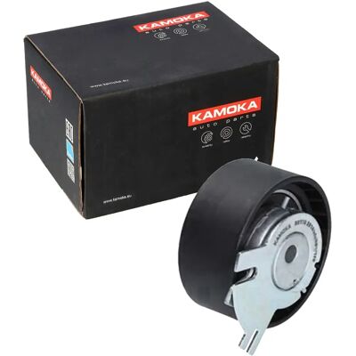 Napinacz paska rozrządu R0178 - Napinacz paska rozrządu Napinacz paska rozrządu R0178 - Napinacz paska rozrządu