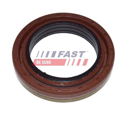FAST Kit guarnizioni - Differenziale per IVECO DAILY III FAST Kit guarnizioni - Differenziale per IVECO DAILY III