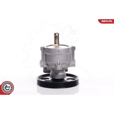 ESEN SKV 10skv146 Hydraulikpumpe für Servolenkung - Hydraulikpumpe ESEN SKV 10skv146 Hydraulikpumpe für Servolenkung - Hydraulikpumpe