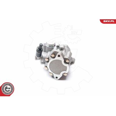 ESEN SKV 10SKV223 Hydraulikpumpe - Lenkung ESEN SKV 10SKV223 Hydraulikpumpe - Lenkung