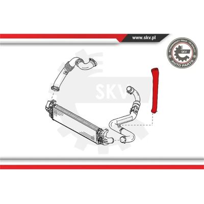 ESEN SKV Molla di Intercooler per Volvo C30 V50 S40 - Tubi di Turbo ESEN SKV Molla di Intercooler per Volvo C30 V50 S40 - Tubi di Turbo