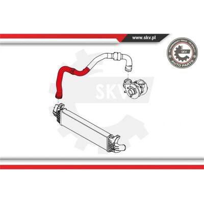 ESEN SKV 24SKV880 Tubo di aspirazione dell'aria per Renault Laguna ESEN SKV 24SKV880 Tubo di aspirazione dell'aria per Renault Laguna