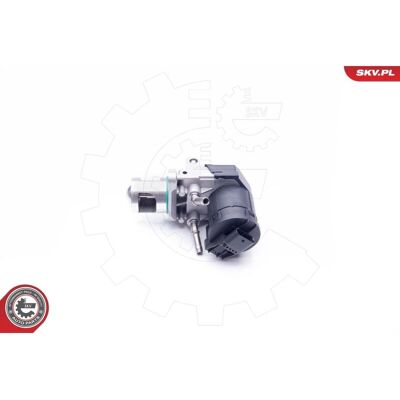 ESEN SKV BMW 12101028 - Válvula EGR ESEN SKV BMW 12101028 - Válvula EGR