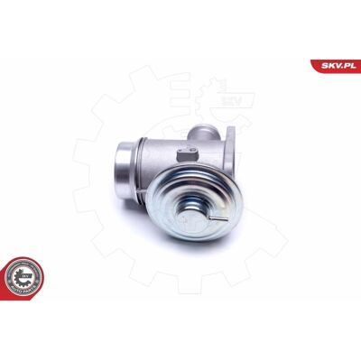 ESEN SKV BMW 14SKV176 EGR-Ventil - Motorteil ESEN SKV BMW 14SKV176 EGR-Ventil - Motorteil