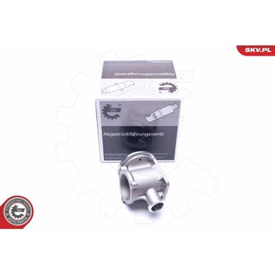 ESEN SKV BMW 14SKV177 Valvola EGR - Controllo delle Emissioni del Motore ESEN SKV BMW 14SKV177 Valvola EGR - Controllo delle Emissioni del Motore