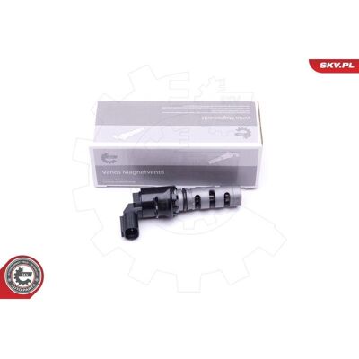 Esen SKV Modell 153300Y060, 153304 - Motorventil Esen SKV Modell 153300Y060, 153304 - Motorventil