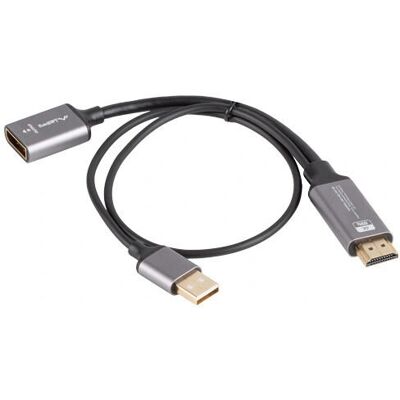 Adaptateur Lanberg Argent 0,2m HDMI à DisplayPort - Câble Vidéo - Publicité Adaptateur Lanberg Argent 0,2m HDMI à DisplayPort - Câble Vidéo - Publicité