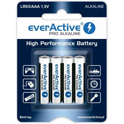 Batteria alcalina AAA Everactive LR034BLPA - Casa Batteria alcalina AAA Everactive LR034BLPA - Casa